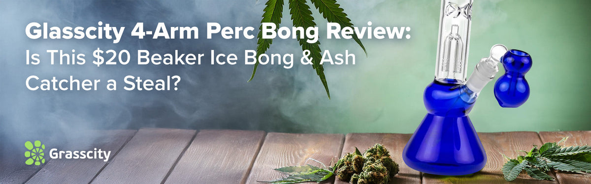 Glasscity 4-Arm Perc Bong 