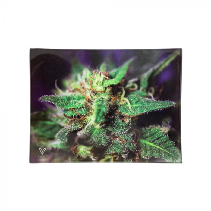 V Syndicate Small Glass Rolling Tray | Blue Dank main product photo